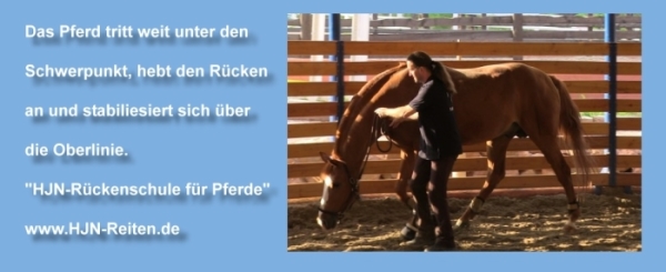 HJN-Rückenschule fürPferde
