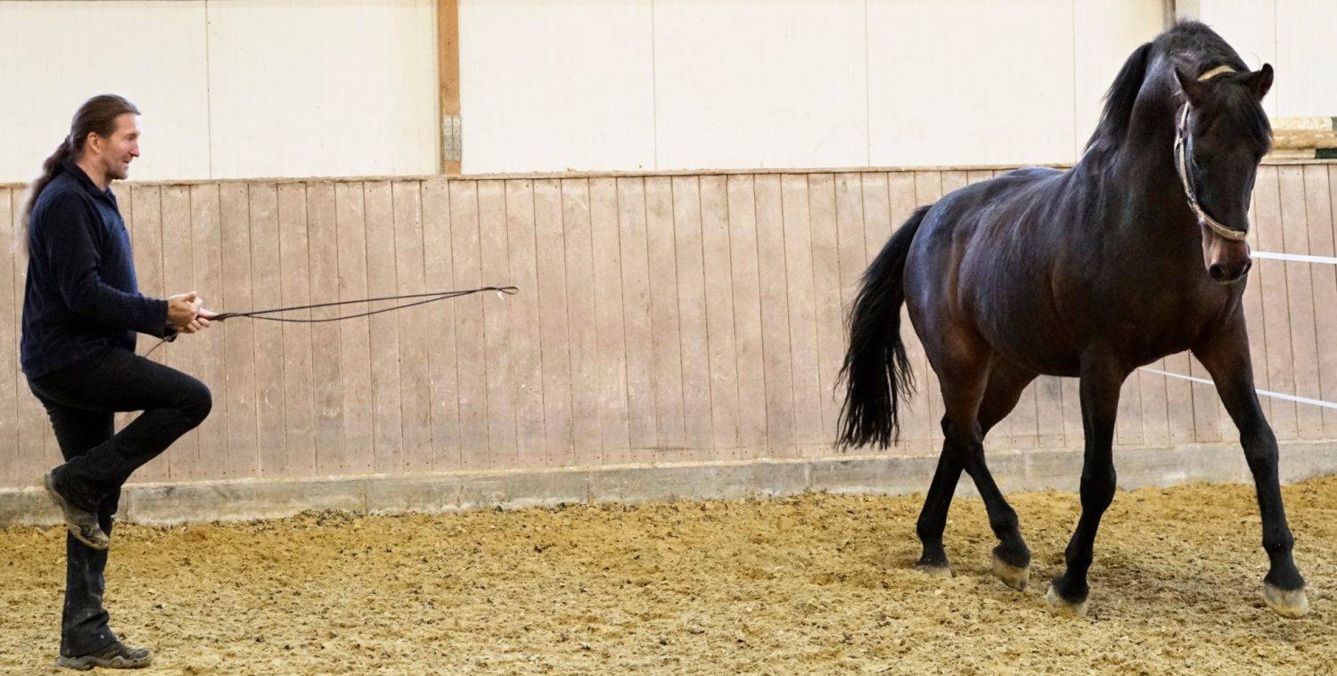 AGB's finden Sie hier: bitte klicken----