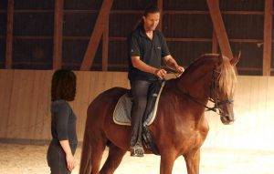 12.06.2026 - 14.06.2026 ein 3-tägiges Reit-Seminar "Reiten mit feinsten Hilfen" Anfänger/Fortgeschrittene, Seminarleitung Hans-Jürgen Neuhauser bei Diana Baumeister, Heerde 69, in 27245 Kirchdorf