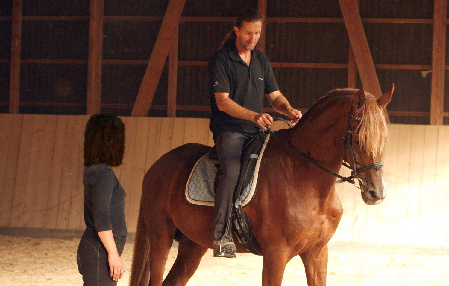 12.06.2026 - 14.06.2026 ein 3-tägiges Reit-Seminar "Reiten mit feinsten Hilfen" Anfänger/Fortgeschrittene, Seminarleitung Hans-Jürgen Neuhauser bei Diana Baumeister, Heerde 69, in 27245 Kirchdorf