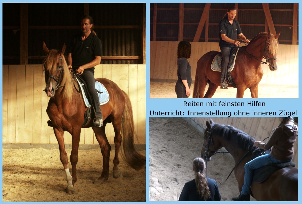 Hans-Jürgen Neuhauser gibt Reitunterricht - Reiten mit feinsten Hilfen